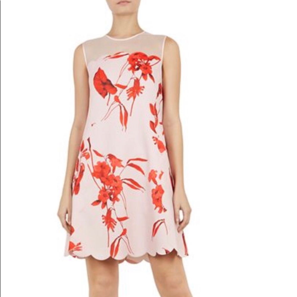 Ted Baker -Jaazmin Fantasia-Print Mini Dress